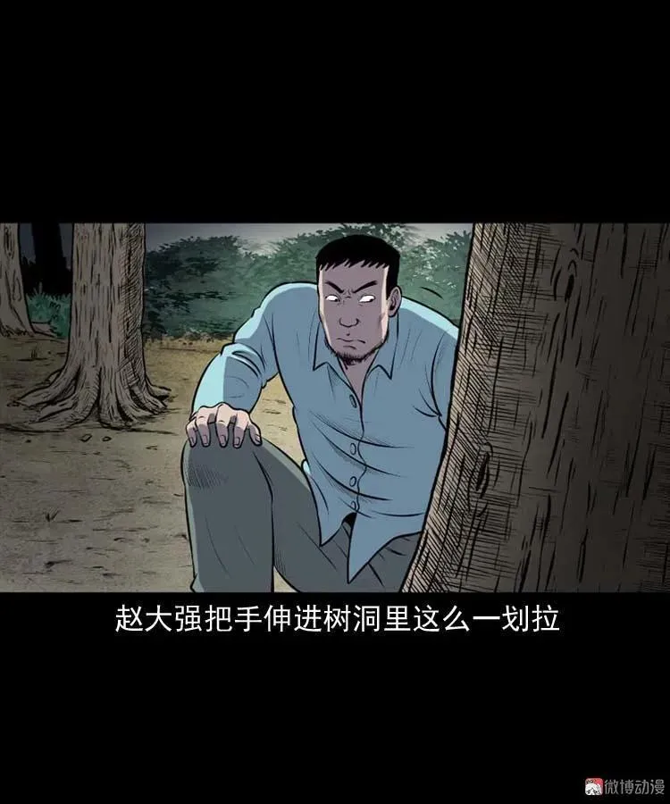棺材精56