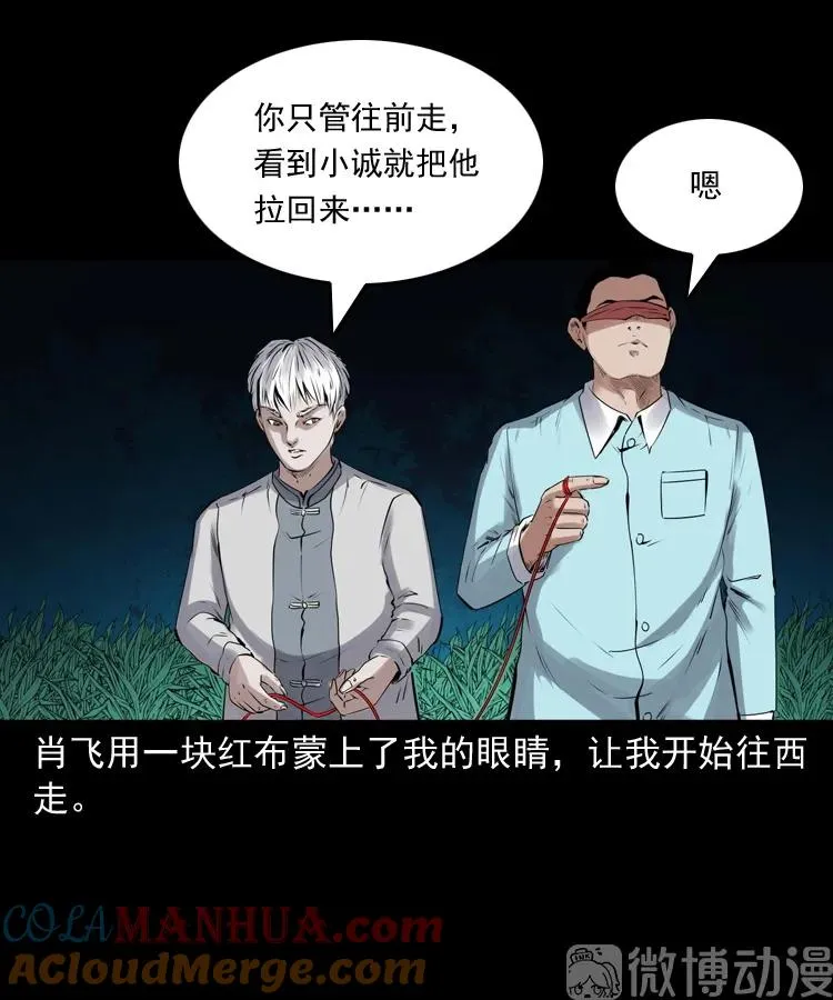 白头翁之抢魂（上）72