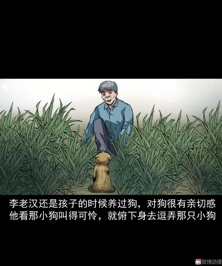 狗19