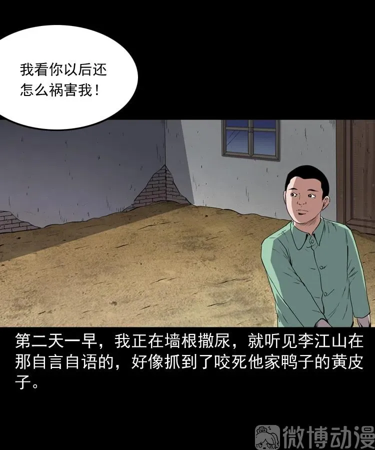 仙家异闻10