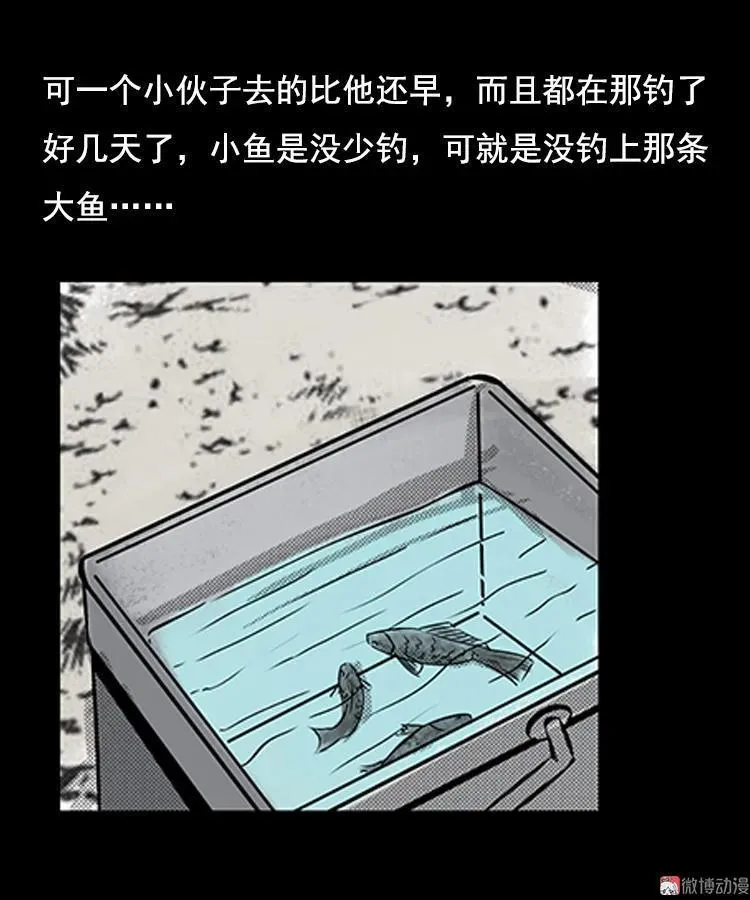 大鱼19