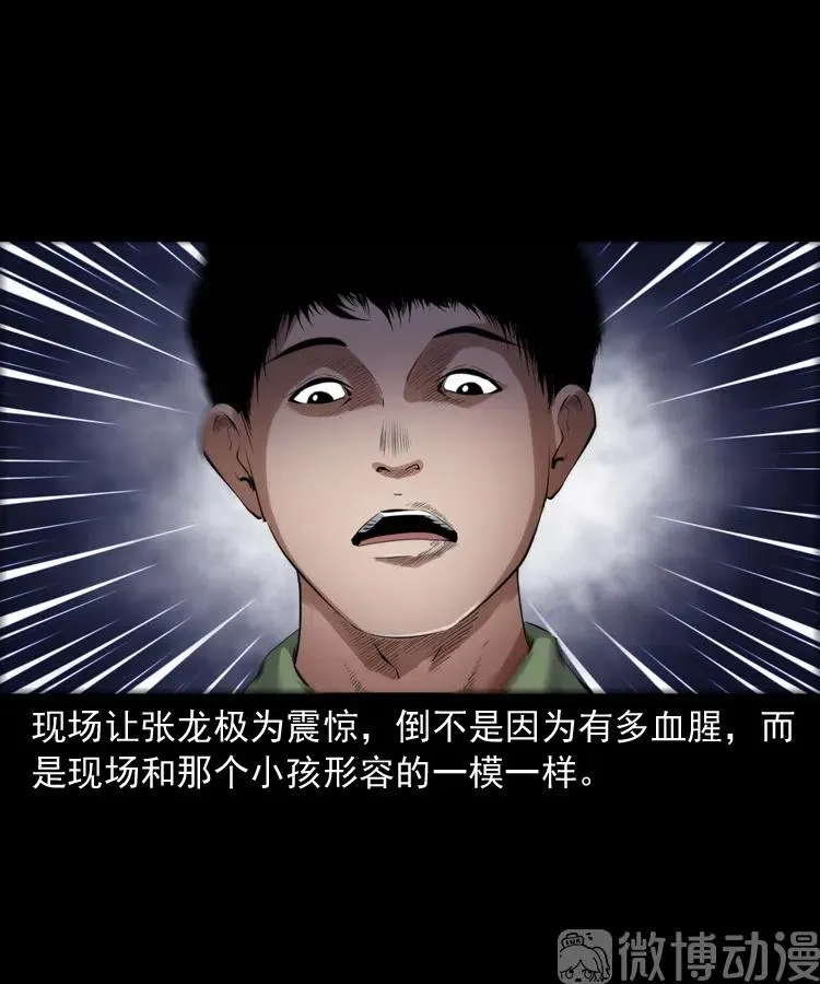 灵童追凶44