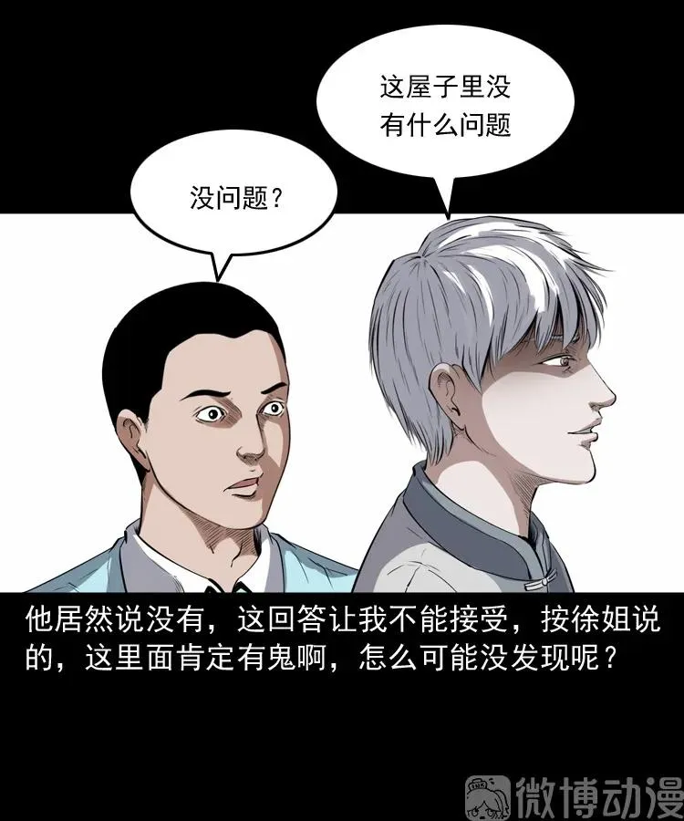 白头翁之猫灵49