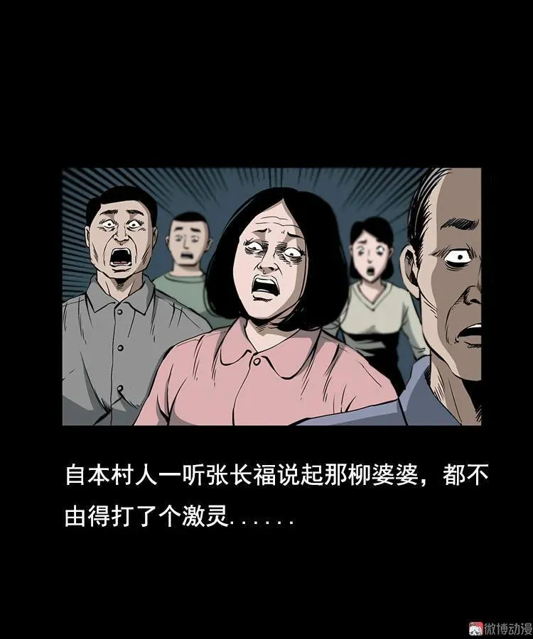 花柳树41