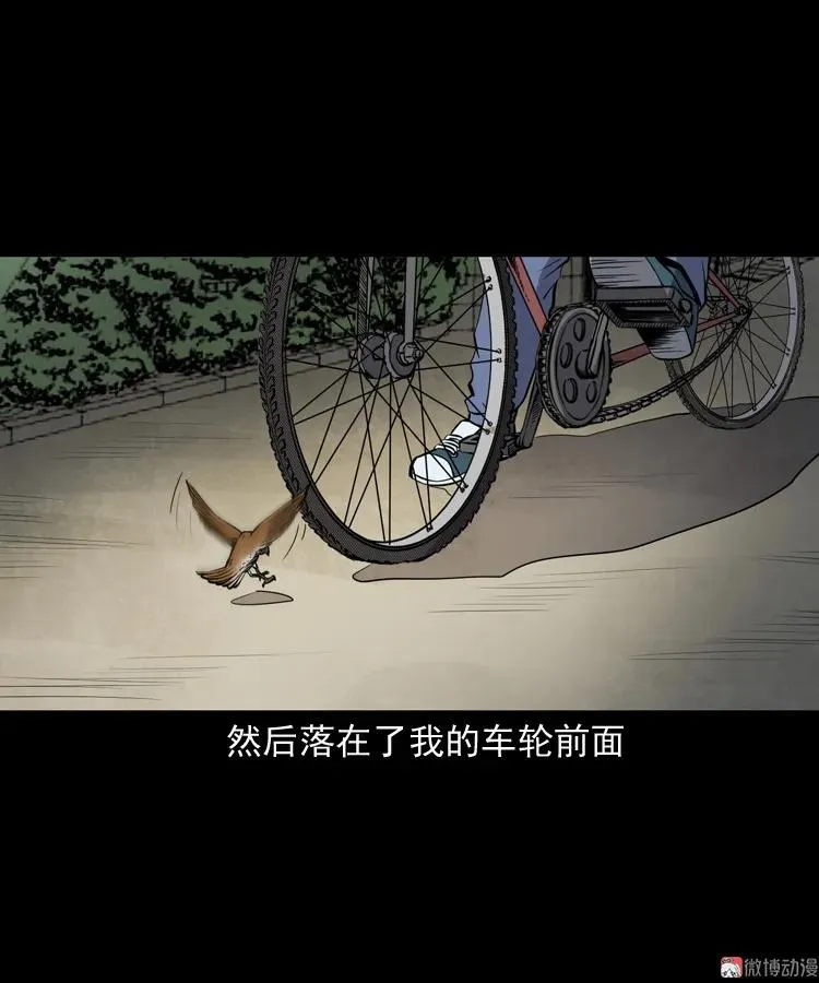 舅舅的故事62
