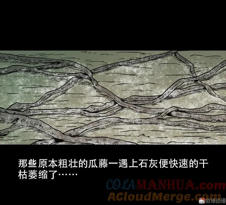 北瓜（下）93
