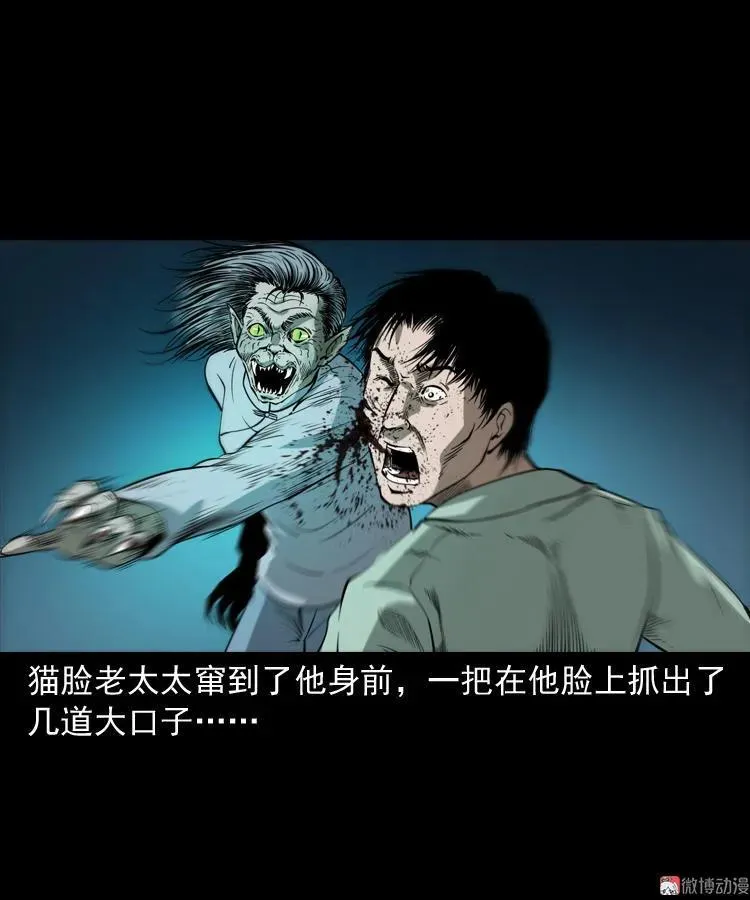 猫老太事件47