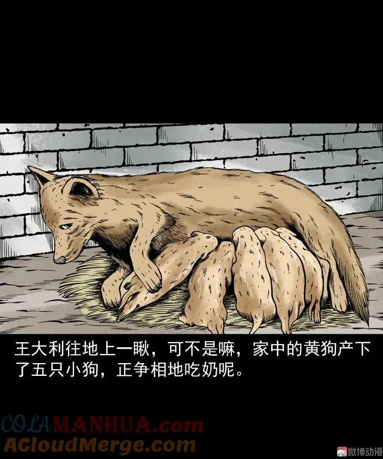 首富王大利57