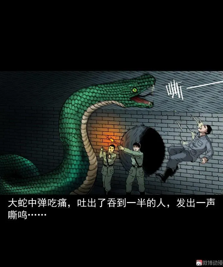 失踪案46