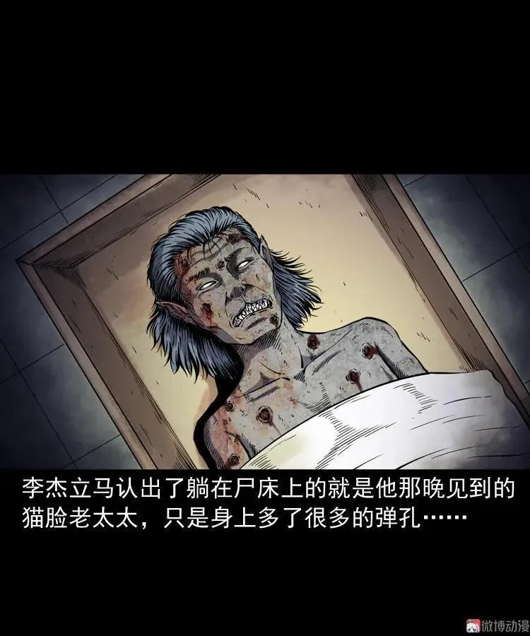 猫老太事件103