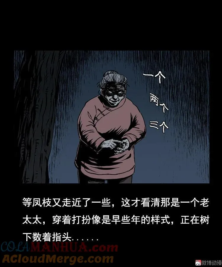 花柳树12