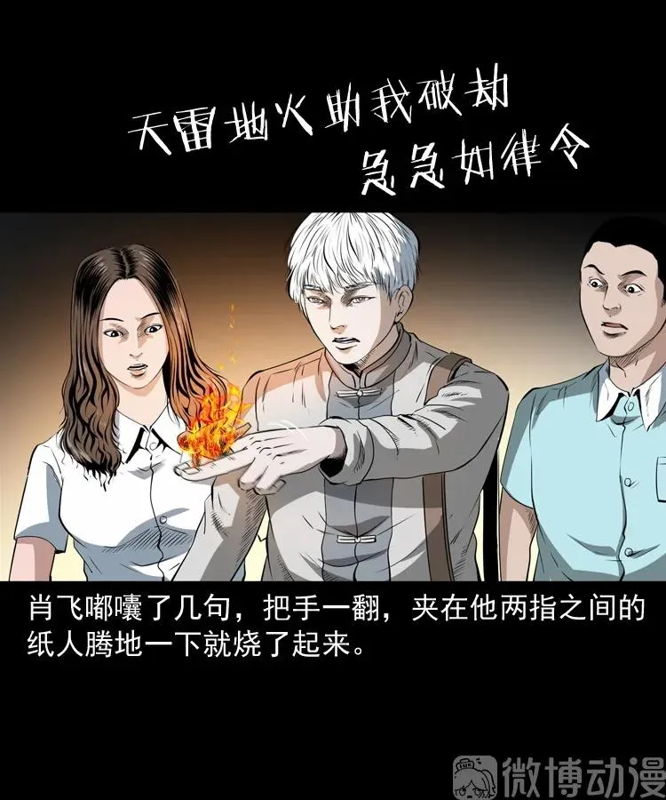 白头翁之恶咒67