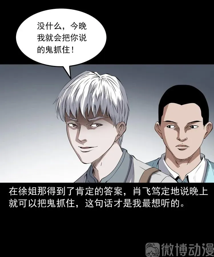 白头翁之猫灵55
