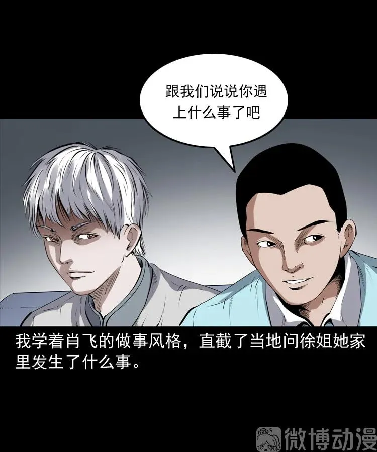 白头翁之猫灵17