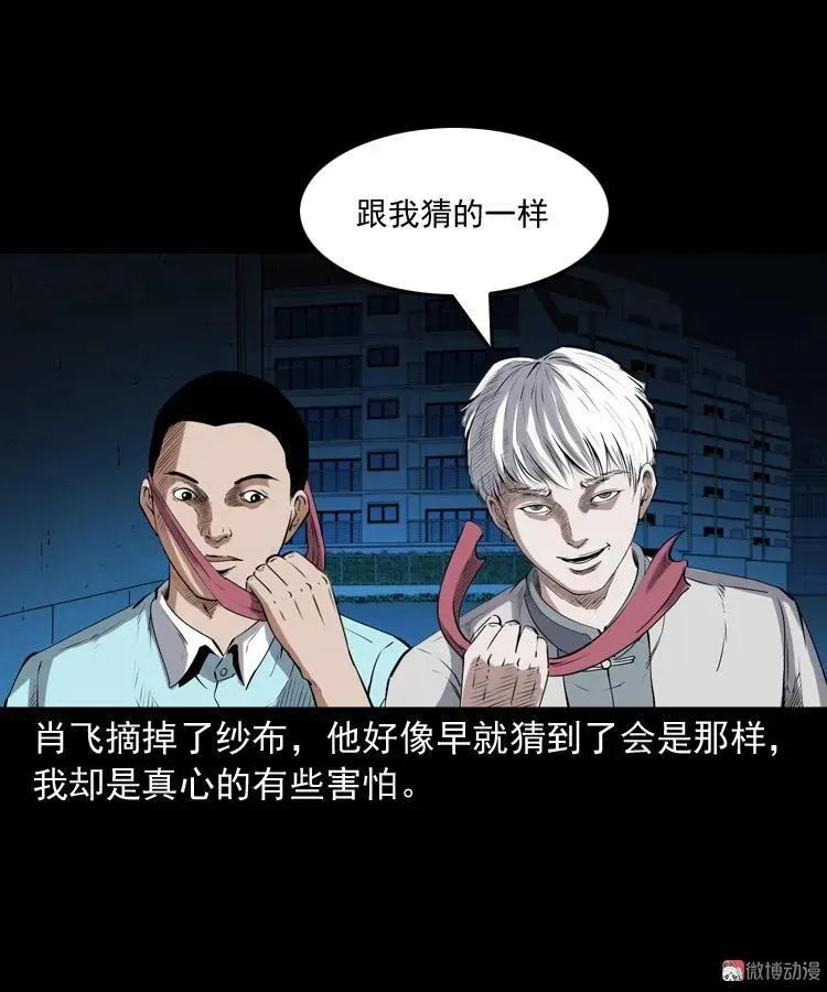 白头鬼之客人74