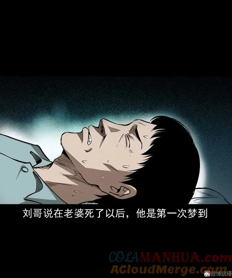 亡妻的下落33
