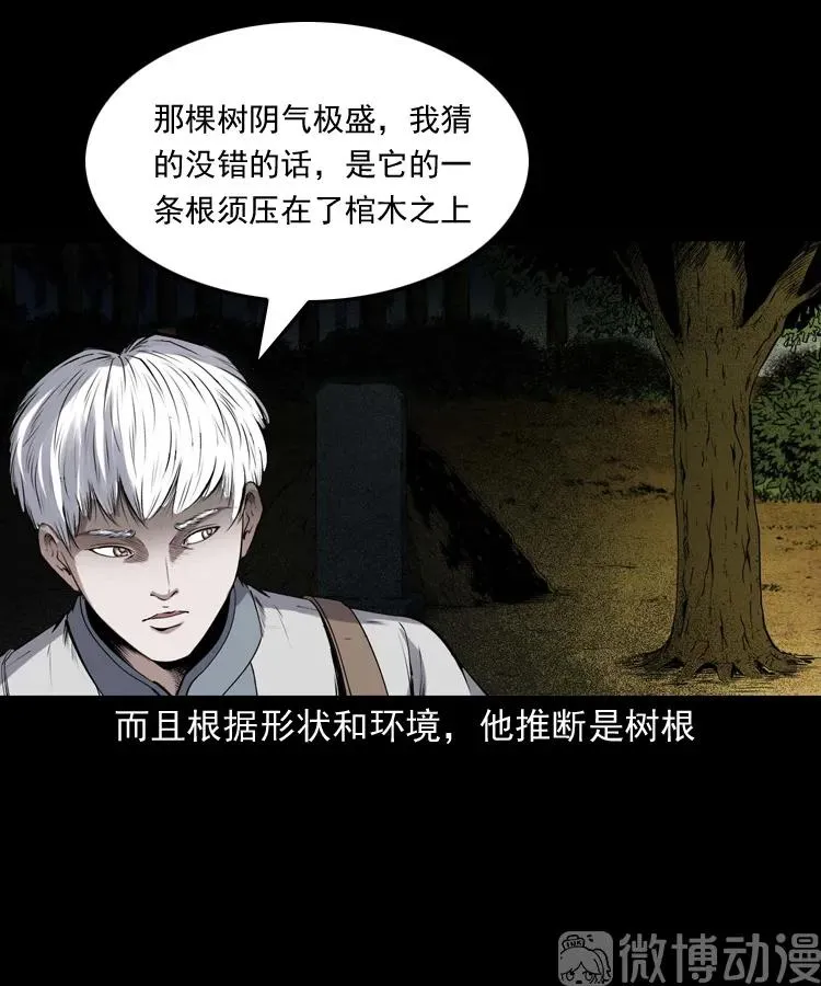 白头翁之压头煞61
