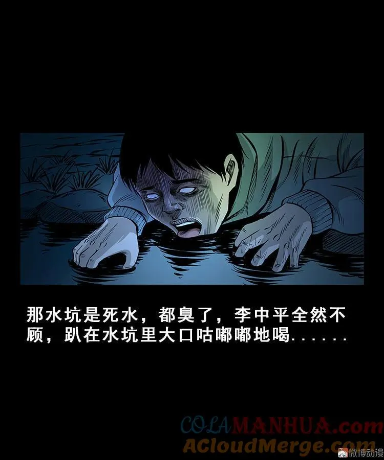 人面獾30