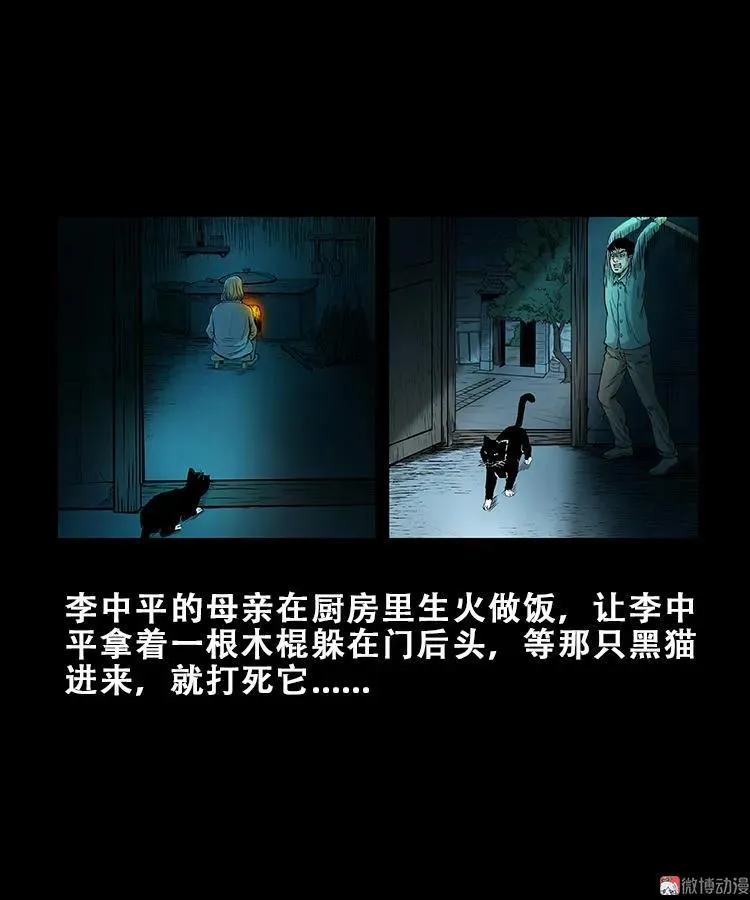 黑猫13