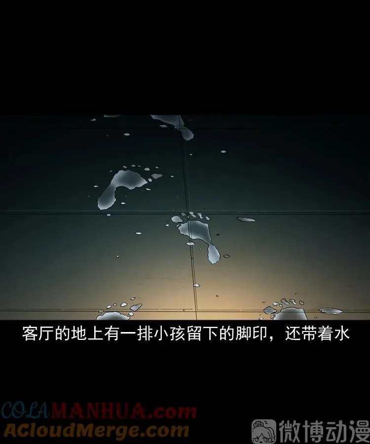 白头翁之猫灵40