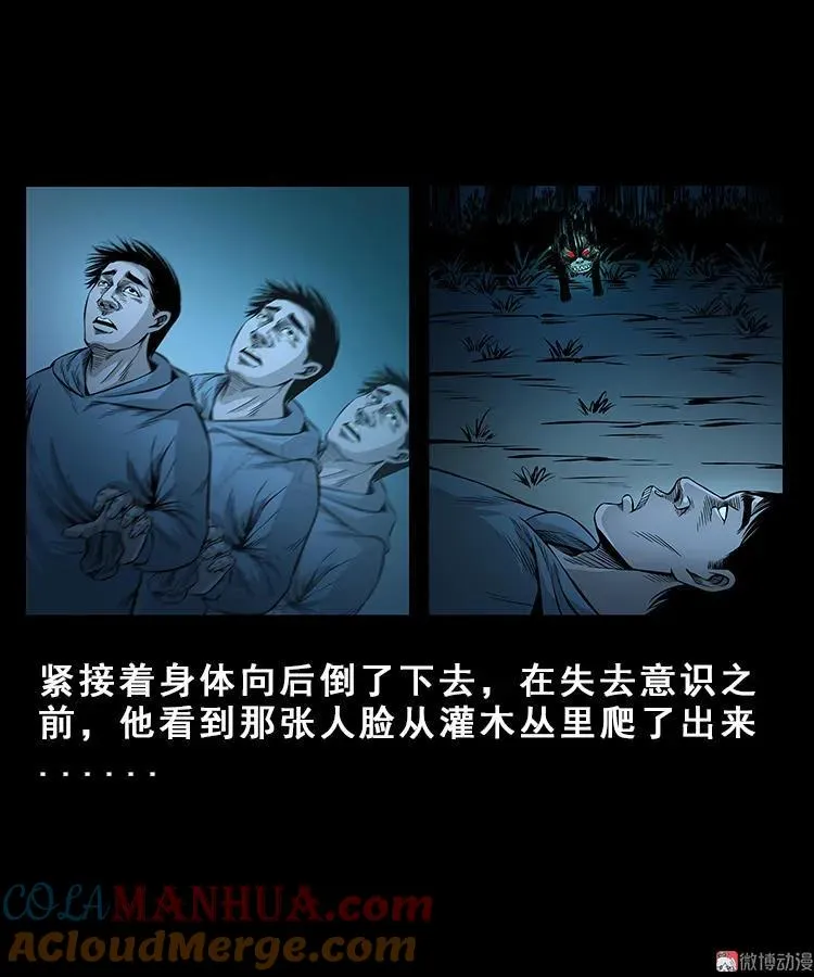 人面獾15