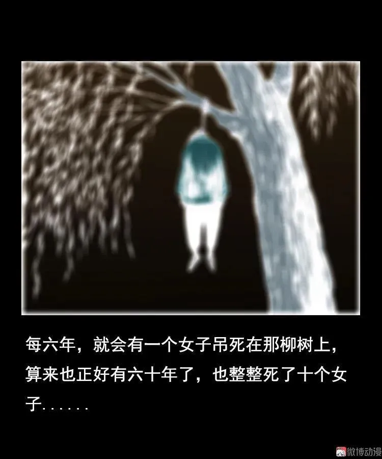 花柳树59