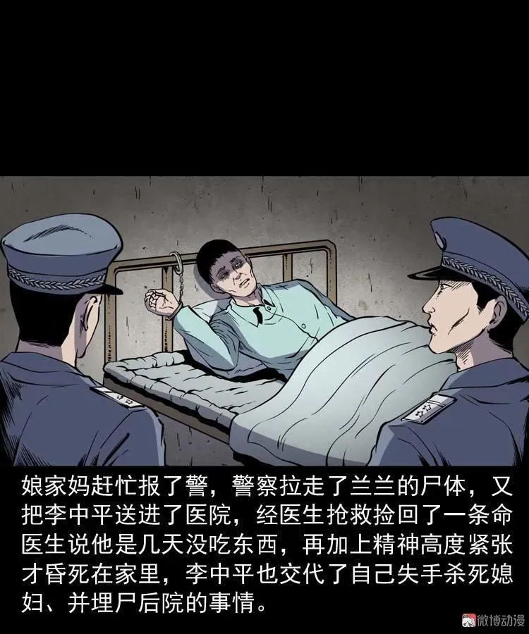 回来的妻子74
