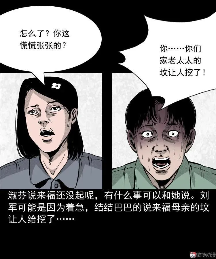 僵尸老太太5