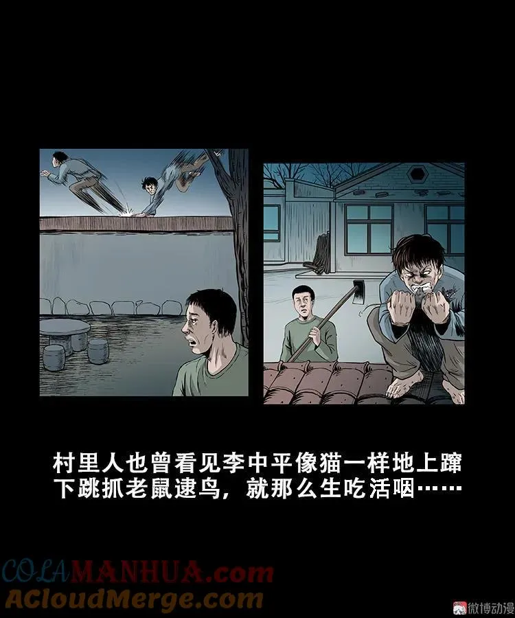 黑猫36