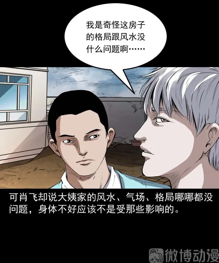 白头翁之压头煞31