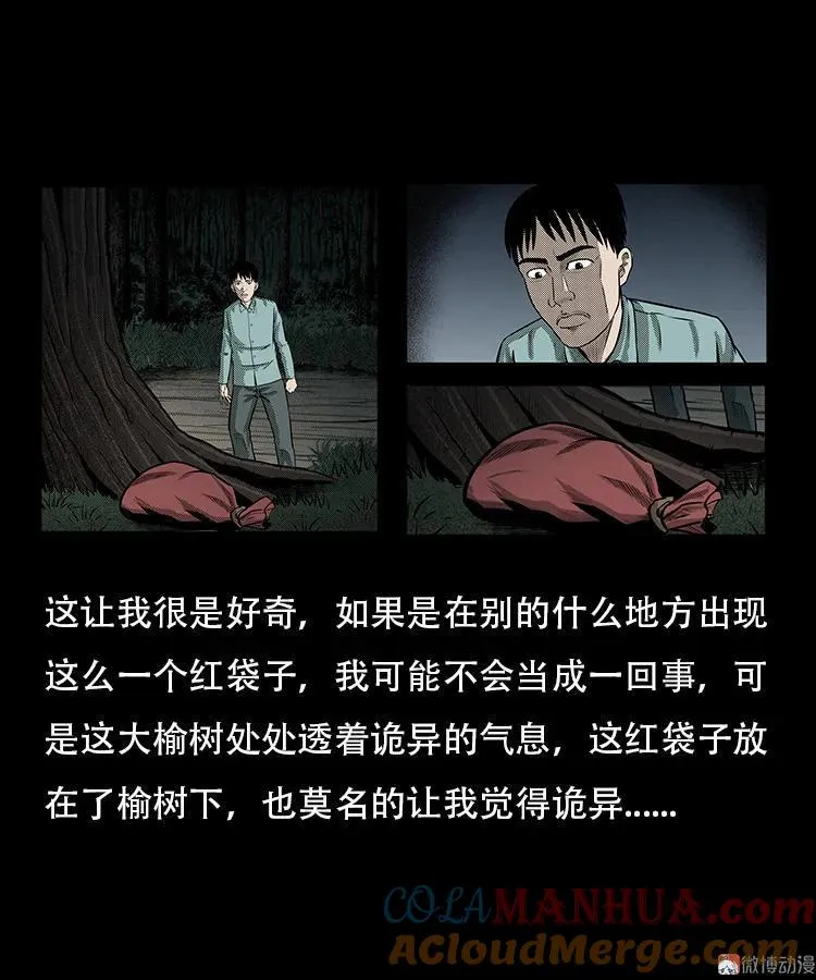红布袋14