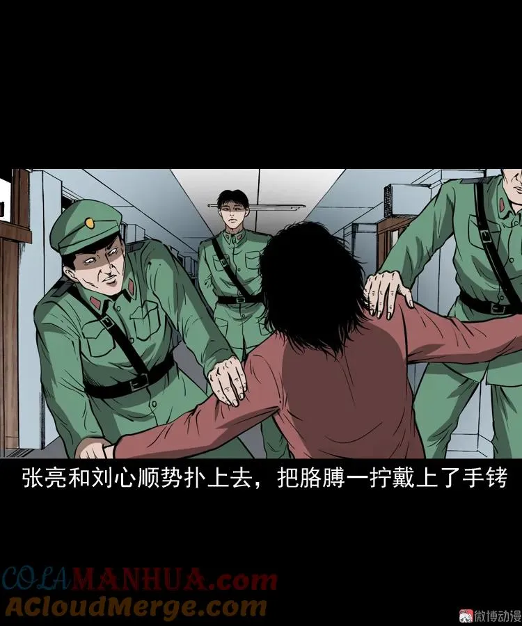 寻子狼12