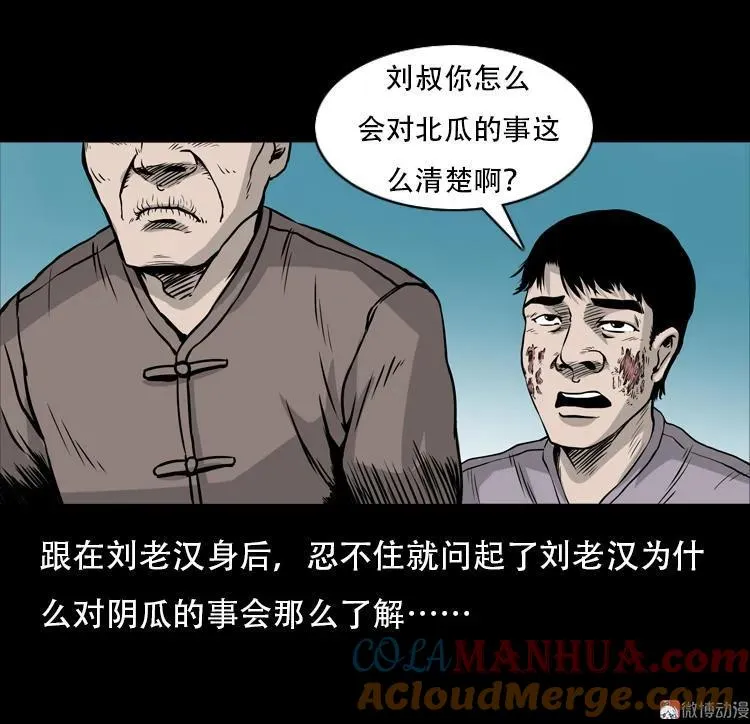 北瓜（下）15