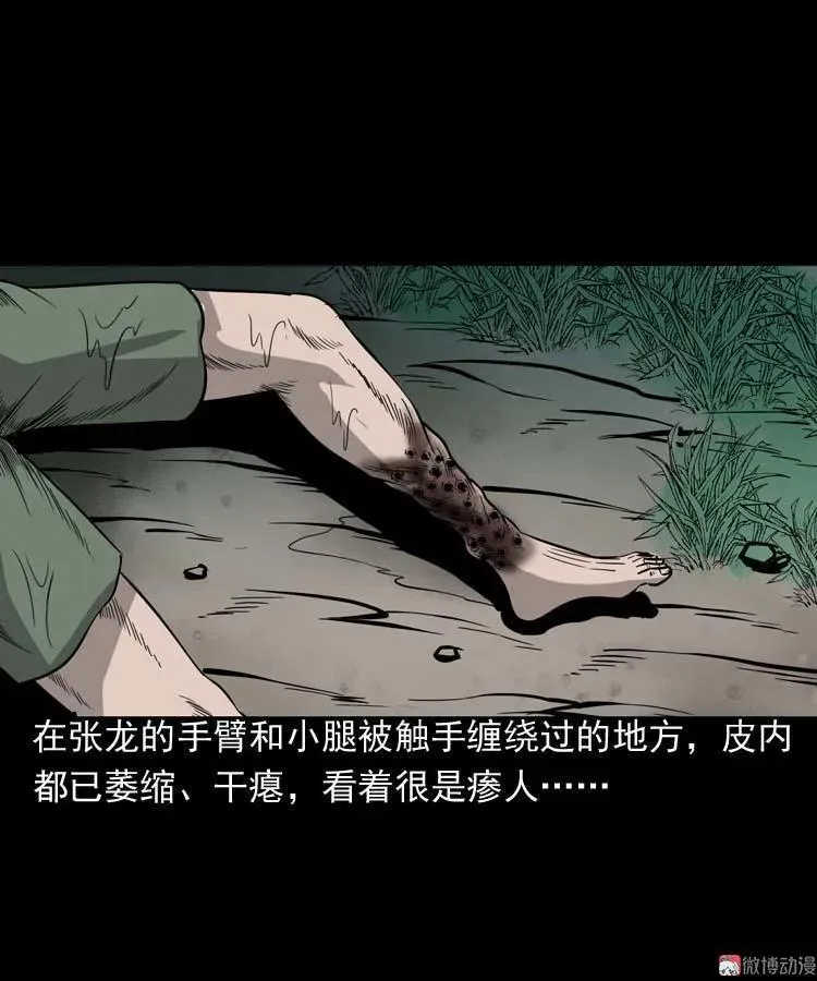 吃人的水塘43
