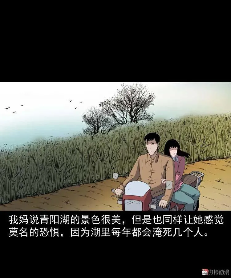 青阳湖诡事5