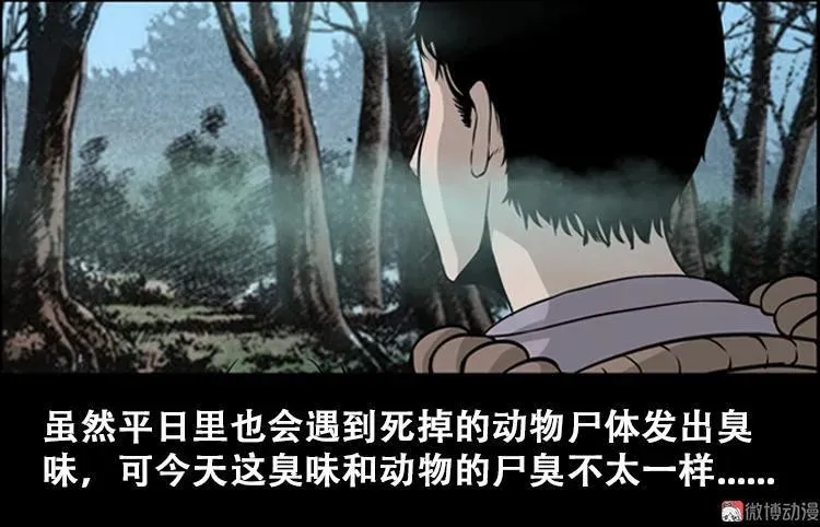 北瓜（上）7