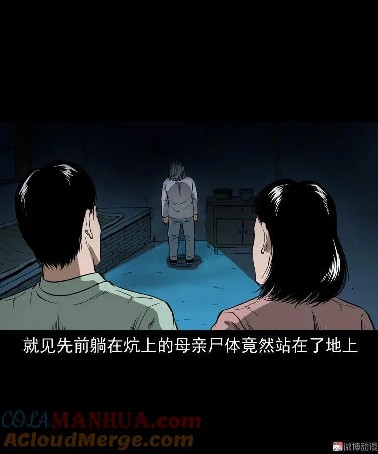 猫老太事件40