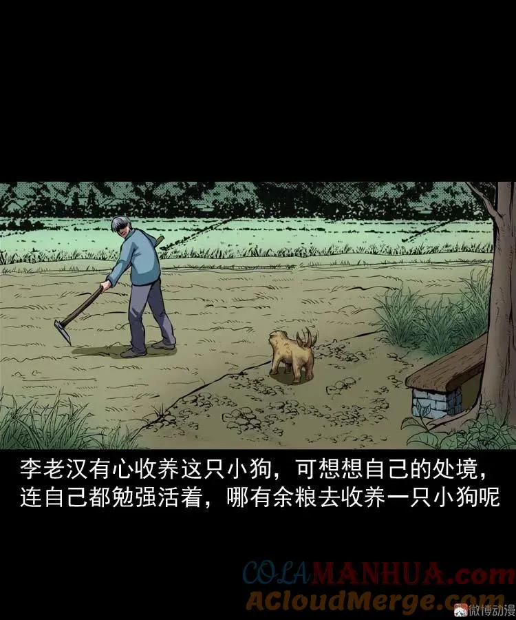 狗24