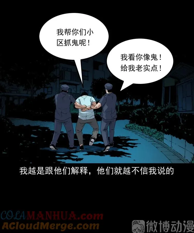 白头翁之猫灵80