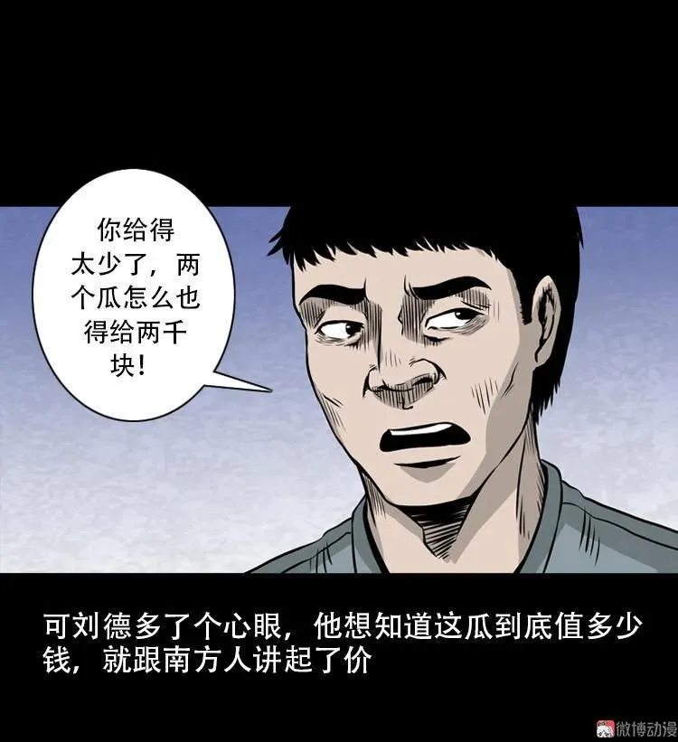 北瓜（下）40