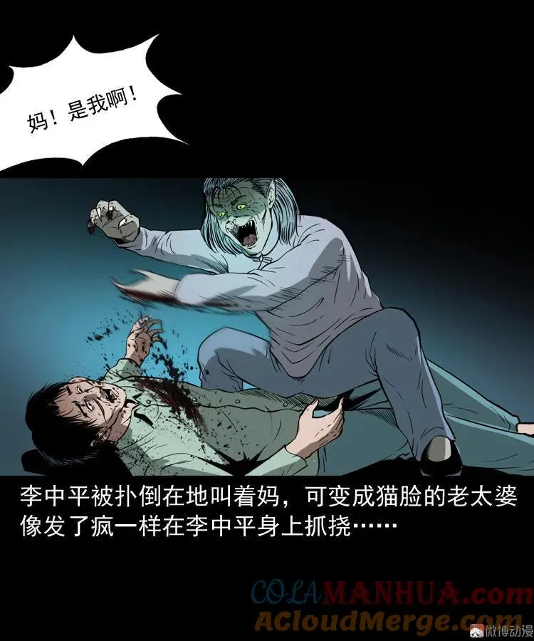 猫老太事件48