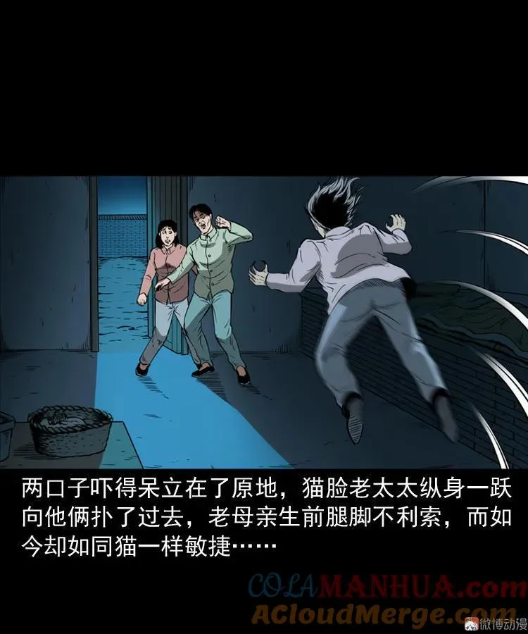 猫老太事件44