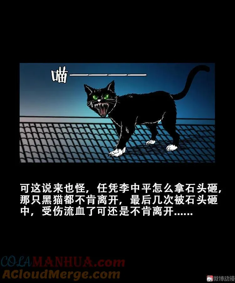 黑猫10