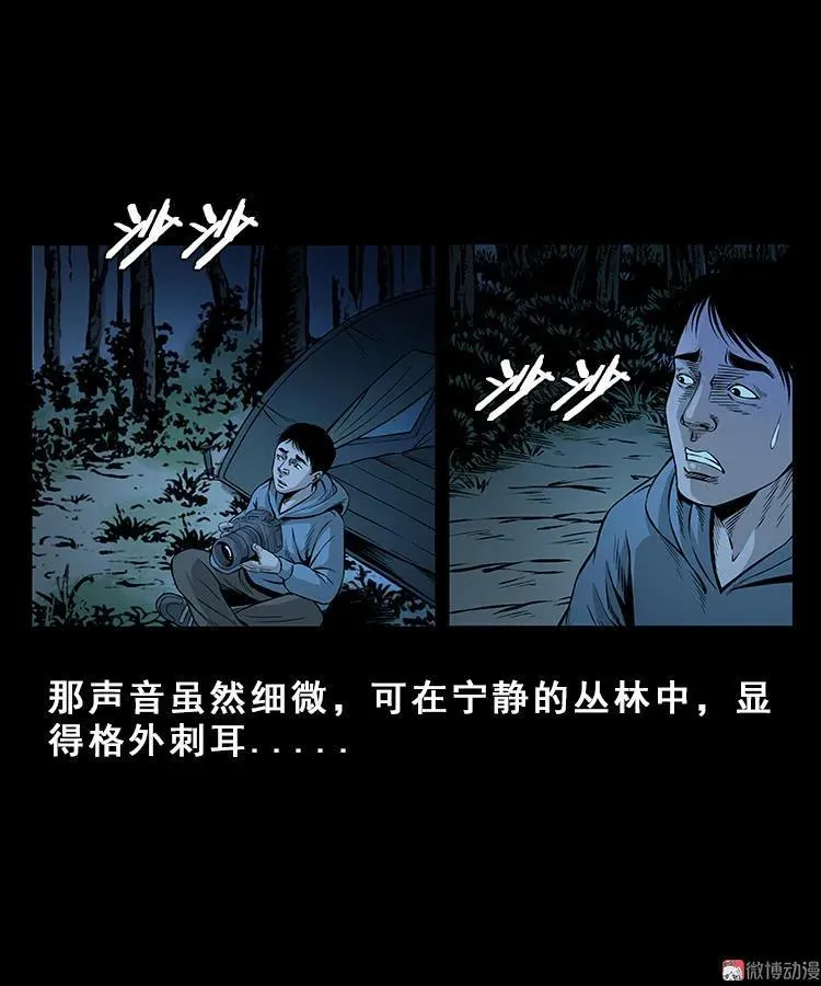 人面獾8