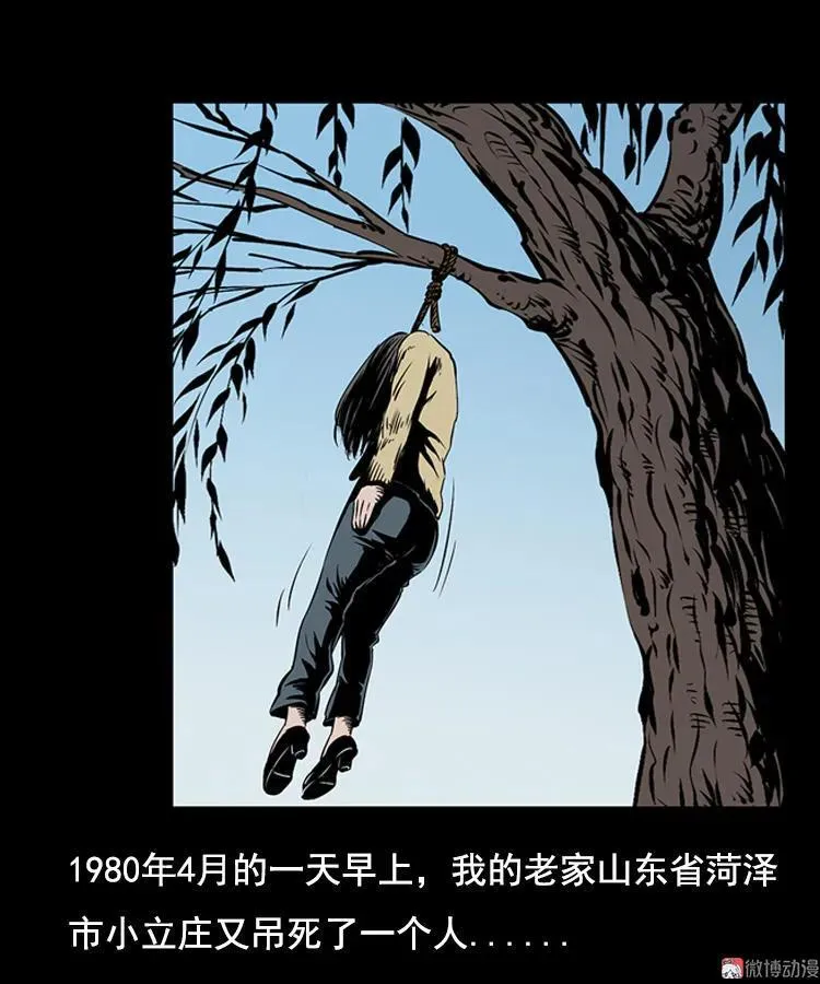 花柳树1