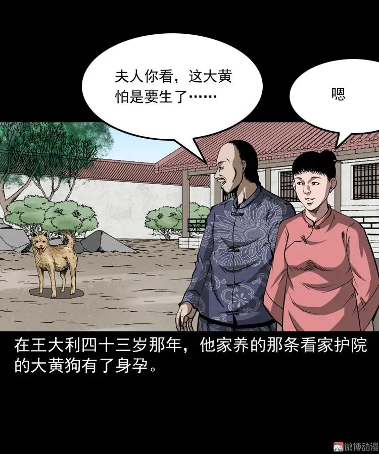 首富王大利38