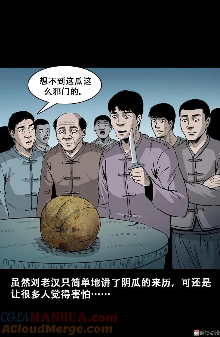 北瓜（上）51