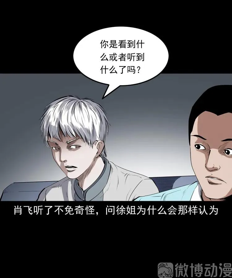 白头翁之猫灵19