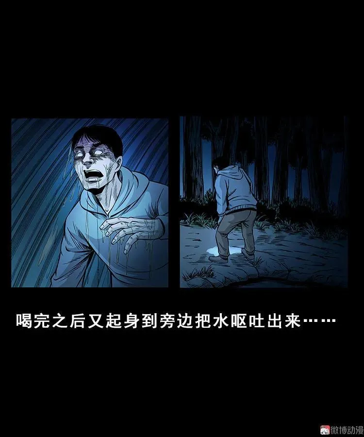 人面獾31