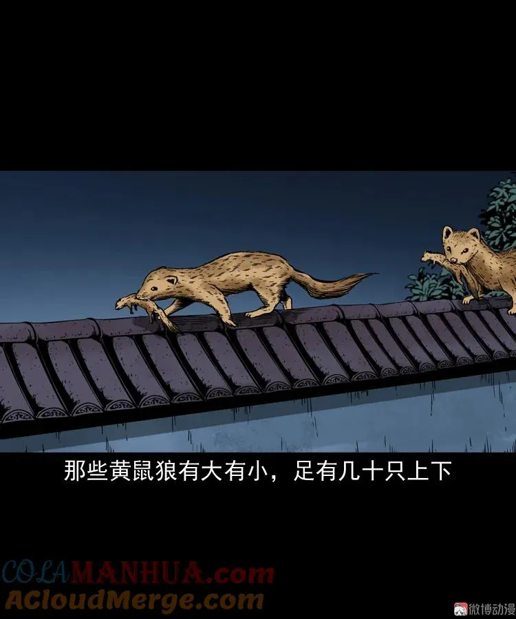 首富王大利78